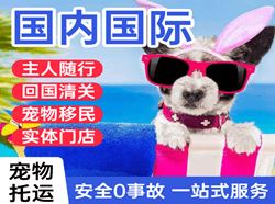 重庆航空物流国际宠物托运 【国